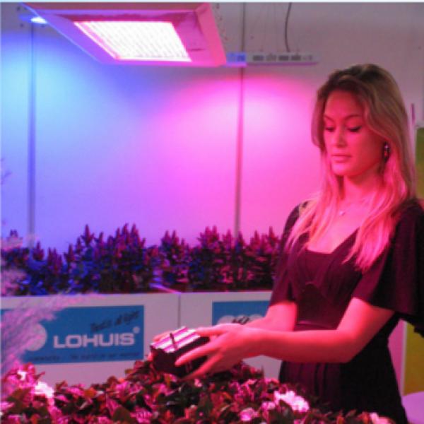Optymalizacja LED do wzrostu roślin